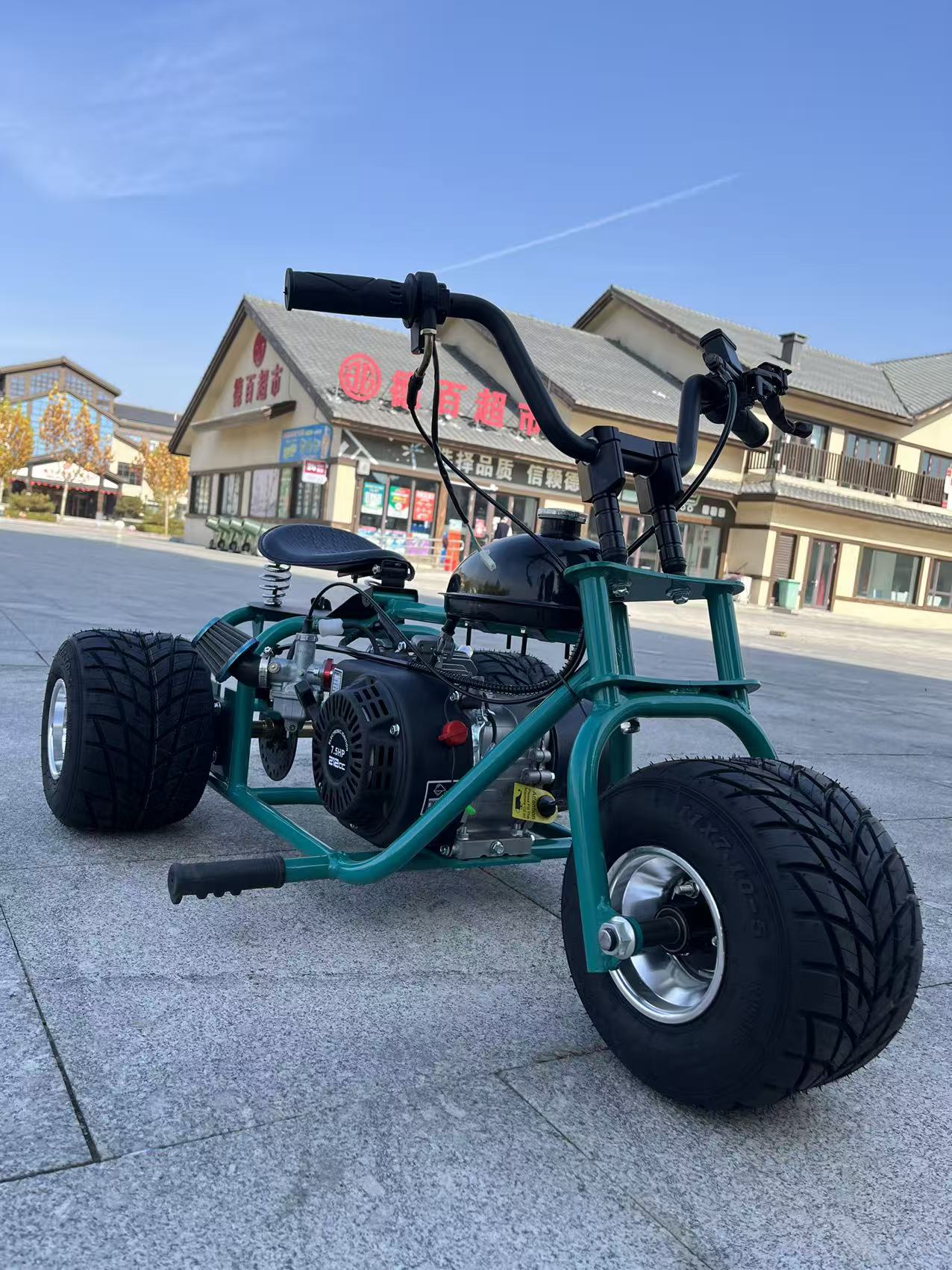 OEM/ODM Nieuwe 212cc 4-takt op - Outdoor Power And Pedal recensie en prijs